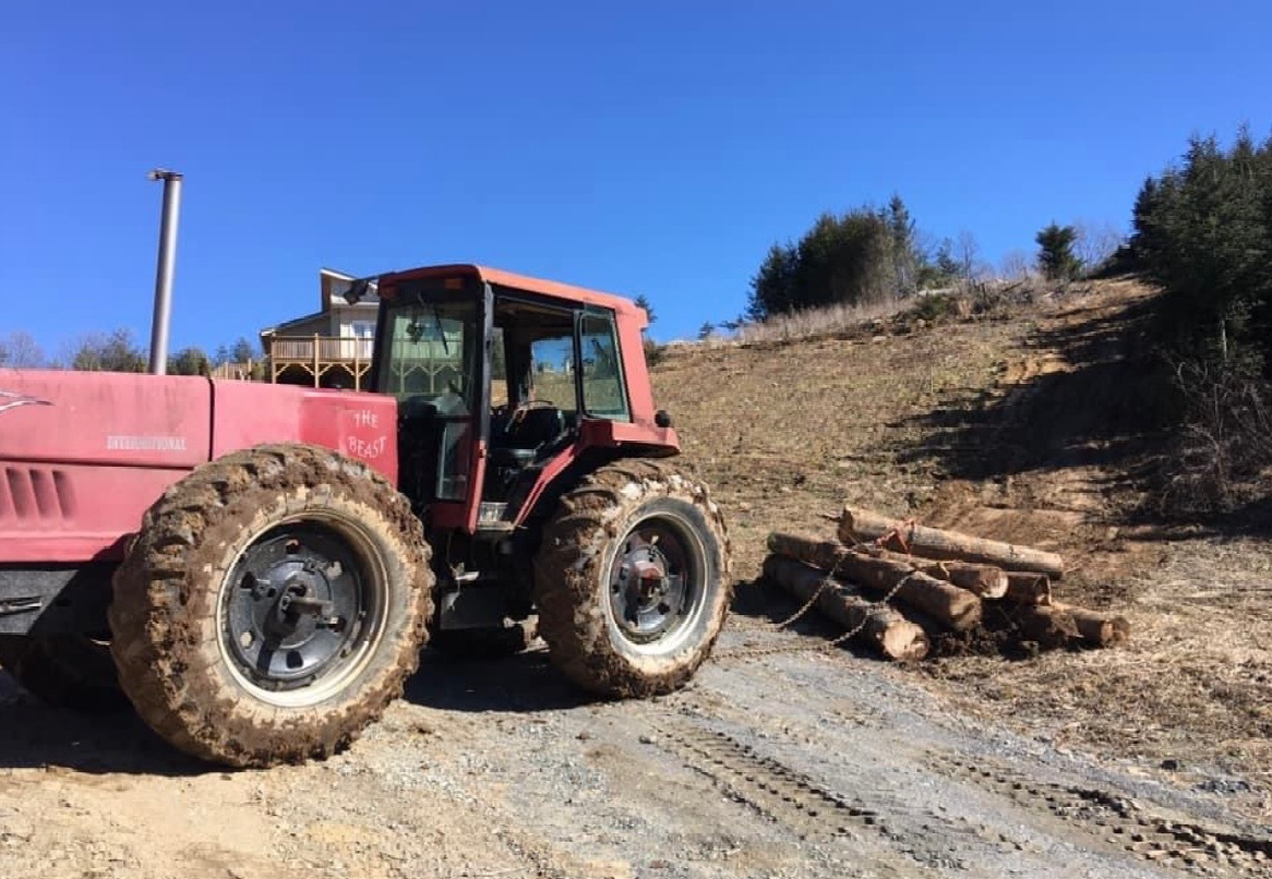 Logging & Clearing